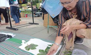 Melirik Peluang Bisnis Kain Ecoprint: Bahan Baku Alam, Dihargai Ratusan Ribu