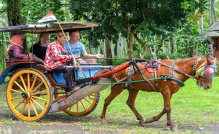 5 Aktivitas Seru Ini Patut Dicoba saat Piknik di Desa Wisata Candirejo Magelang