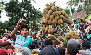 Khofifah Kenalkan Durian Lokal Mirip Black Thorn di Festival Durian Blitar