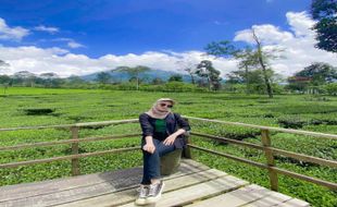 Agrowisata Kebun Teh Tambi, Tempat yang Cocok untuk Self Healing di Wonosobo