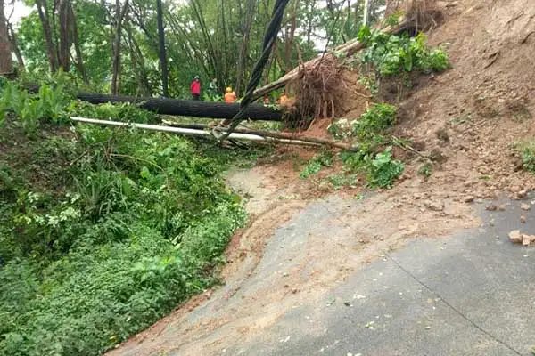 Terkenal Angker, Ini Lokasi Alas Tunggangan Wonogiri Tempat Bus Tersesat