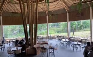 Resto Makunde Solo Safari Dibuka, Sensasi Makan Sambil Lihat Singa & Meerkat