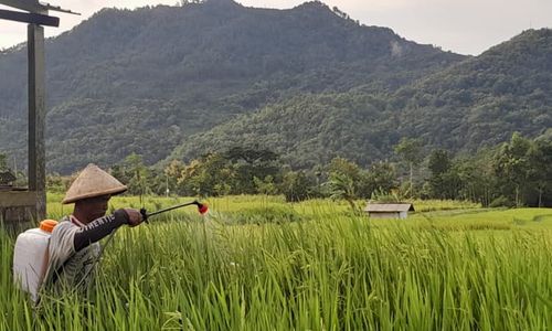 Menengok Usaha Sampingan Petani di Wonogiri yang Hidup Pas-Pasan di Desa