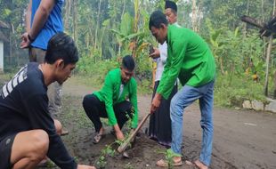 Cegah LSD, Mahasiswa Boyolali Kenalkan Probiotik dan Rumput Indigofera ke Warga