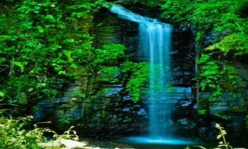 Grenjengan Sewu, Keindahan Air Terjun di Hutan Belantara Pati