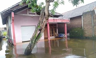 Sepekan Diguyur Hujan Deras, Ratusan Rumah pada 8 Desa di Kudus Dilanda Banjir