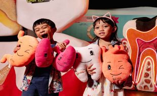 Cara Mencuci Boneka dengan Mesin Cuci di Rumah