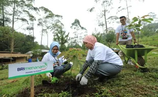 Memberi Makna bagi Bangsa, Simak Sederet Capaian BRI Tebarkan Social Values