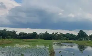 Mendung Tebal Siang Hari Ini, Simak Prakiraan Cuaca Solo Minggu 6 Oktober