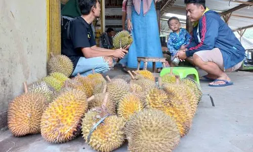 Musim Belum Berakhir, Penjual Durian Masih Menjamur di Pasar Kembang Klaten