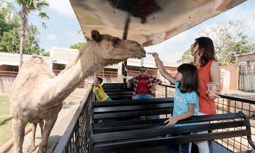 Liburan ke Jawa Timur Park 2, Tiga Area Ini Wajib Dikunjungi