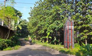 Uniknya Sambeng, Kelurahan Terpencil di Tengah Hutan Jati Juwangi Boyolali