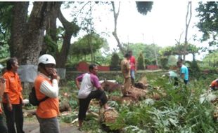 Waduh! Dahan Pohon Berukuran Besar di OMAC Klaten Patah Timpa Warung Makan