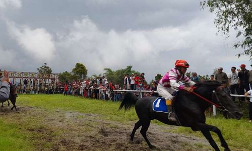 Jadi Arena Pacuan Kuda, Lapangan Desa Sukabumi Cepogo Boyolali akan Diperluas