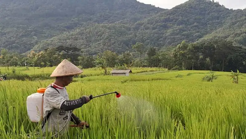 284 Tahun Wonogiri, Berharap Industrialisasi dan Pertanian Bisa Maju Bareng