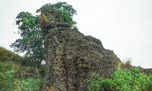 Jejak Pelarian Majapahit Pusaka Tunggul Wulung di Manyaran Wonogiri