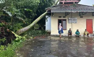 Puting Beliung Sapu Banyudono Boyolali, 1 Rumah Ibadah Rusak Tertimpa Pohon