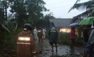 Puting Beliung Rusak Belasan Rumah dan Tumbangkan Pohon di Tambak Boyolali