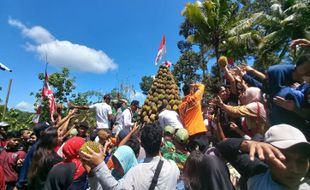 Cuma 10 Menit! Gunungan Durian di Desa Suluk Madiun Ludes Diserbu Pengunjung