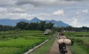 Pesona Pagi di Tunggur, Desa Indah Dikelilingi Bukit di Slogohimo Wonogiri   