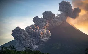 Erupsi Merapi Ancam 12 Jenis Mamalia, di Antaranya Lutung dan Tupai Terbang