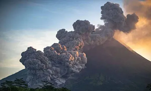 Erupsi Merapi Ancam 12 Jenis Mamalia, di Antaranya Lutung dan Tupai Terbang