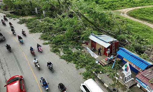 Badai Terjang Kendari, 3 Warga Meninggal Tertimpa Pohon dan Tersambar Petir