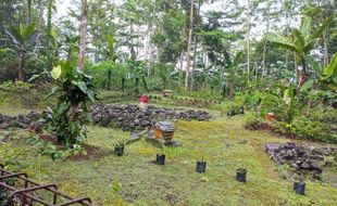 Menyusuri Situs Candi Bongkotan Wonosobo yang Kaya dengan Tinggalan Arkeologis