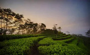 Tempat Wisata Healing, Jelajahi 4 Destinasi di Kulonprogo