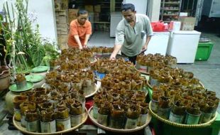 Beda dengan Lainnya, Kue Keranjang Khas Magelang Dibungkus Daun Pisang