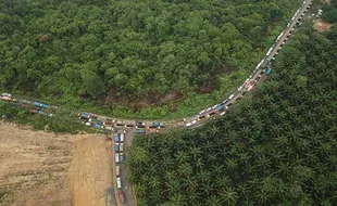 Potret Ribuan Kendaraan Terjebak Macet Hingga 20 Jam di Jalan Nasional Jambi