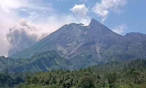 Beredar Kabar Ada Macan di Gunung Merapi, tapi Tak Pernah Terpantau Camera Trap