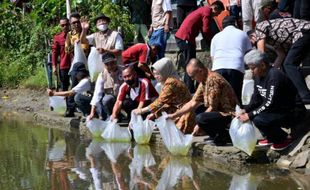 Kagama Cabang Sukoharjo Tebar 10.000 Ikan di Juron Nguter