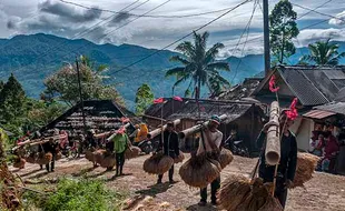 Potret Tradisi Ngarengkong, Ritual Adat Angkut Padi ke Lumbung di Lebak