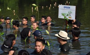 Lanjutkan Penghijauan, Epson Tanam 6.000 Pohon & Rehabilitasi Mangrove