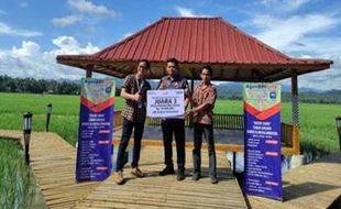 Agrowisata Taman Anggur, Inovasi Megulungkidul sebagai Juara Desa BRILian