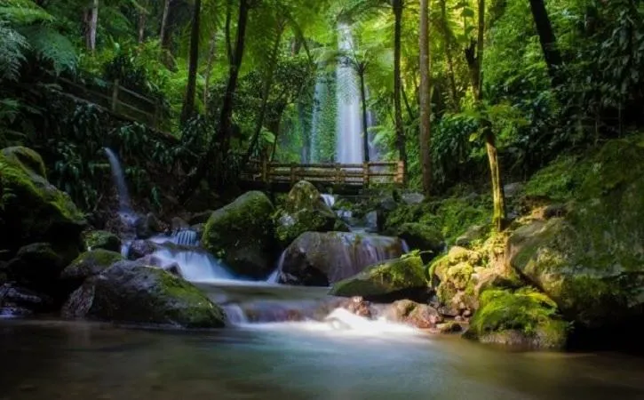 Air Terjun Jumog, Surga yang Hilang di Gunung Lawu