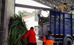 Kena Abu Merapi, 2 Desa di Boyolali Dikirimi 9 Ton Pakan Ternak dari Kementan