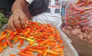 Harga Cabai Rawit Turun Jadi Rp59.870 per Kg, Beras SPHP Stabil