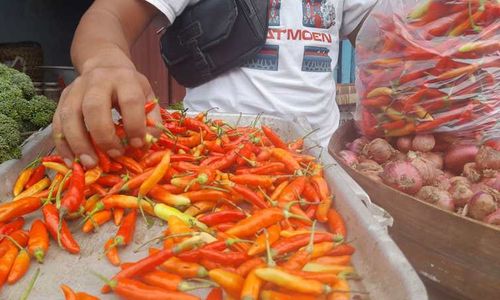 Harga Cabai Rawit Turun Jadi Rp59.870 per Kg, Beras SPHP Stabil