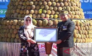 Jos! 2 Varietas Durian Lokal Jember Terdaftar di Kementerian Pertanian