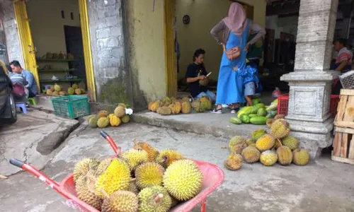 Panen Cuan di Musim Durian Klaten, Omzet Pedagang Bisa Tembus Rp80 Juta Sehari