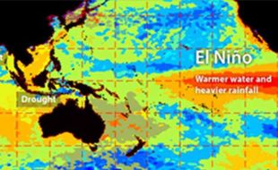 Dampak El Nino, Suhu Bumi Bisa Tembus Rekor Terpanas Lagi Tahun Ini