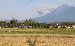 Merapi Erupsi & Muntahkan Awan Panas, Bupati: Klaten Aman, Tidak Ada Hujan Abu