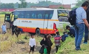 Kronologi Bus Harapan Jaya Terperosok di Sawah Kediri, 1 Penumpang Terluka