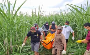 Innalillahi! Seorang Ibu & Bayi Ditemukan Meninggal di Kebun Tebu Kediri