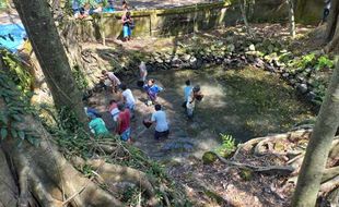 Serunya Tradisi Nawu Sendang Gotan di Mranggen Klaten, Ada Kirab & Tangkap Ikan