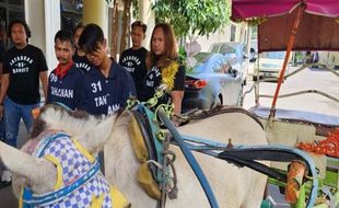 Ngebet Ingin Pelihara Kuda, Bapak & Anak di Semarang Nekat Curi Delman