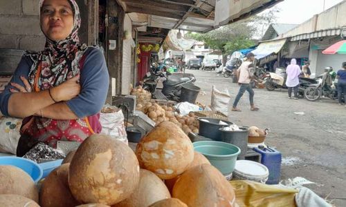 Punya 15.000-an Pohon Kelapa, Pedagang di Wonogiri Masih Kulak ke Pacitan