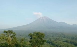 Pagi Ini, Gunung Semeru Erupsi Setinggi 600 Meter Mengarah ke Utara